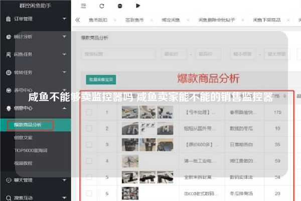 咸鱼不能够卖监控器吗 咸鱼卖家能不能的销售监控器