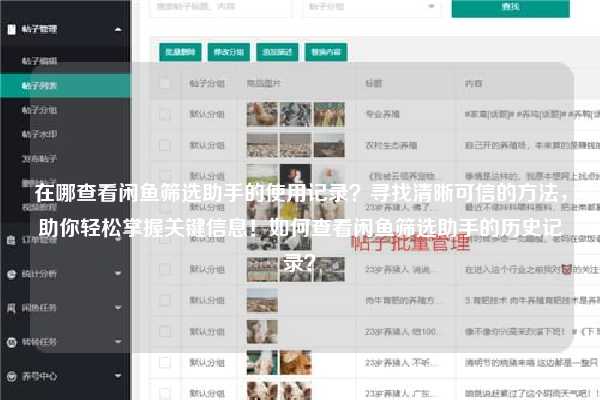 在哪查看闲鱼筛选助手的使用记录？寻找清晰可信的方法，助你轻松掌握关键信息！如何查看闲鱼筛选助手的历史记录？