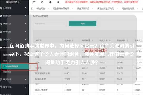 在闲鱼助手的世界中，为何选择欣赏云？这个关键词的引导下，探索这个令人着迷的组合，你会发现怎样的云景令闲鱼助手更为引人入胜？