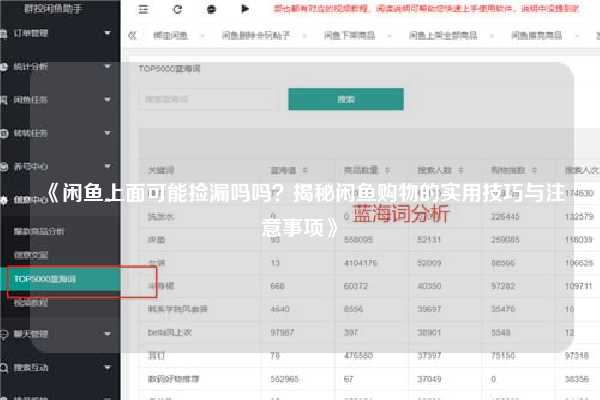 《闲鱼上面可能捡漏吗吗？揭秘闲鱼购物的实用技巧与注意事项》